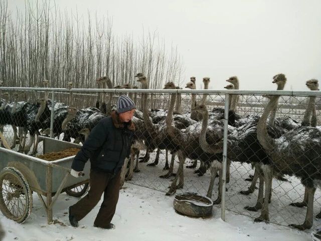 QQ图片20160204215806